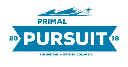 Pursuit